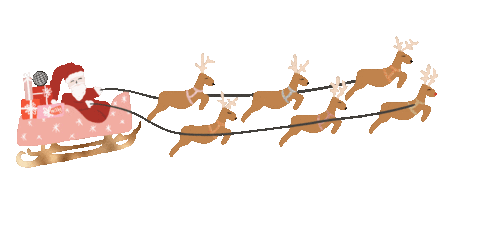 Santa's Sleigh